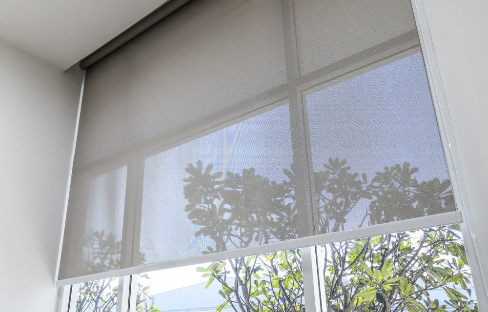 large window with roller blinds
